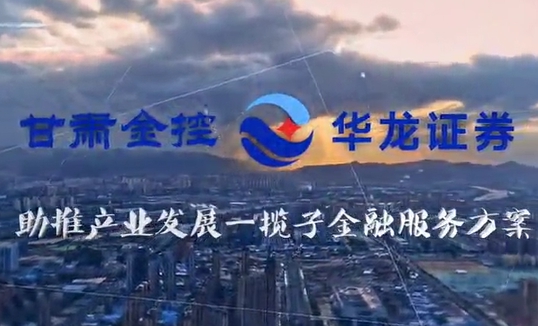 甘肅金控集團(tuán)助推產(chǎn)業(yè)發(fā)展一攬子金融服務(wù)方案匯報(bào)片